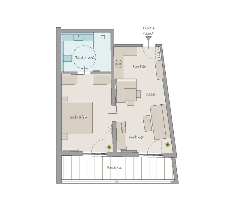 optim-TOP4-klein-Schneerose